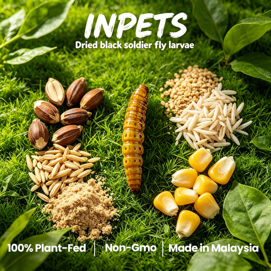 INPETS 100% Plant-Fed Dried Black Soldier Fly Larvae Chicken Treats, 2-lb box