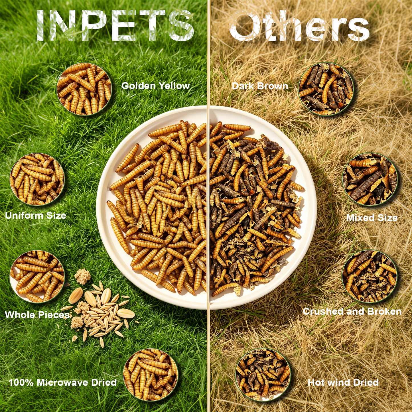 INPETS 100% Plant-Fed Dried Black Soldier Fly Larvae Chicken Treats, 5-lb box