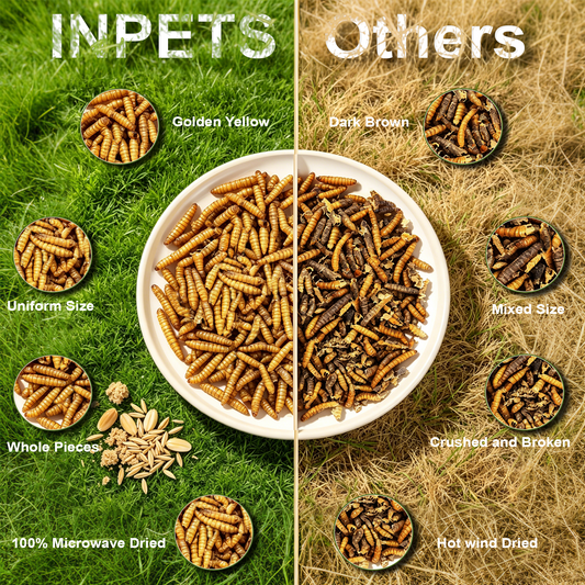 INPETS 100% Plant-Fed Dried Black Soldier Fly Larvae Chicken Treats, 10-lb box